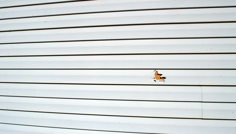 Warranty & Quality Checks